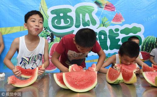 夏天免费吃瓜群众,吃瓜群众的狂欢时刻 第1张 夏天免费吃瓜群众,吃瓜群众的狂欢时刻 第1张